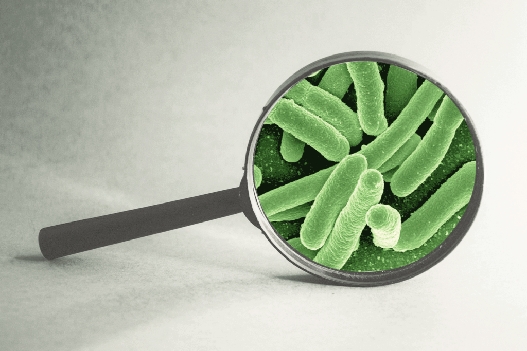 mikrobiologische Innovationen: patentierte Mikroorganismen